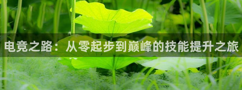 泛亚电竞最新版：电竞之路：从零起步到巅峰的技能提升之旅