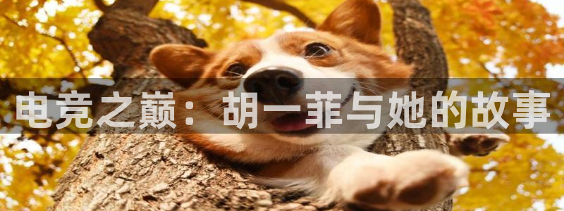 泛亚电竞英雄联盟竞猜：电竞之巅：胡一菲与她的故事