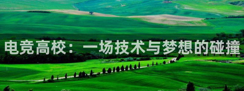 im电竞和泛亚电竞哪个好