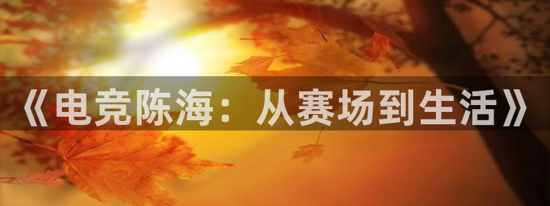 泛亚电竞官方版