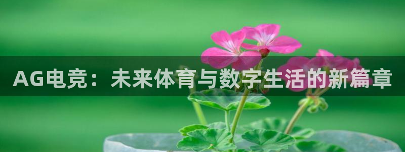 泛亚电竞对刷
