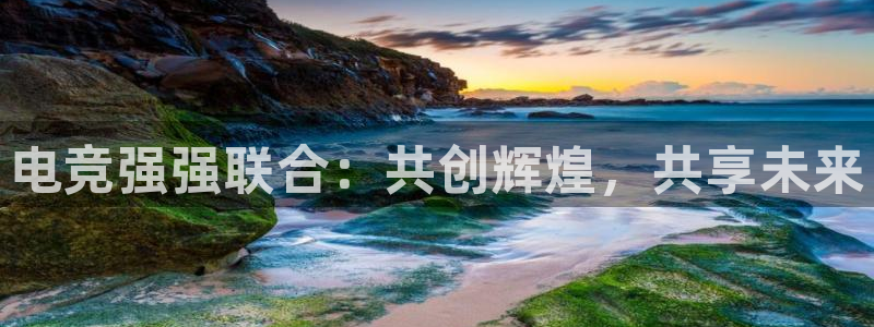 泛亚电竞