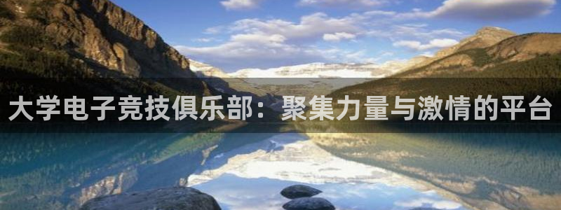 泛亚电竞综合