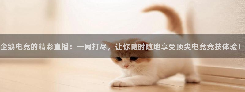 泛亚电竞官网下载网站
