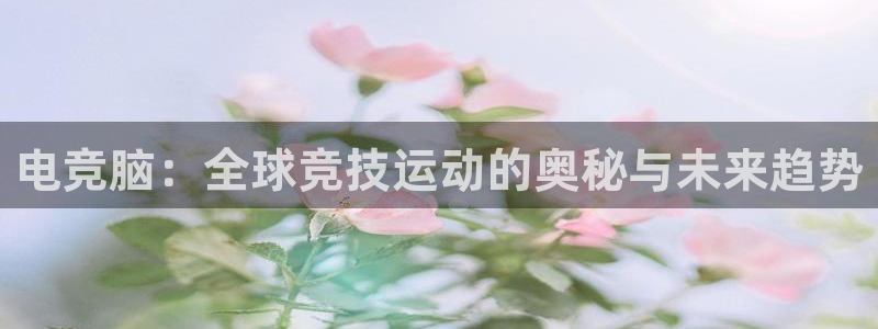 安卓版泛亚电竞
